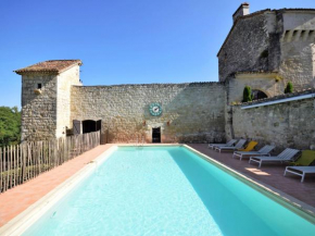 Castle 12th century with private pool close to Agen